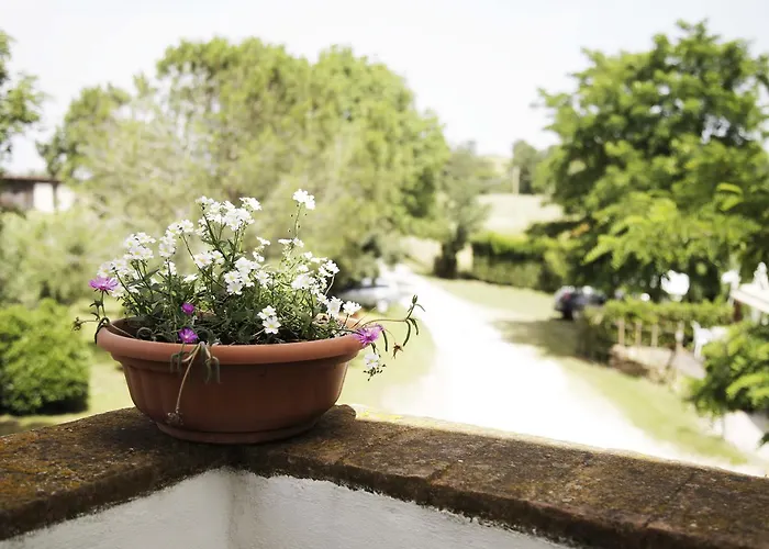 La Gioia * 斯坎萨诺