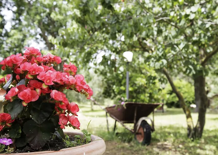 农家乐 La Gioia *